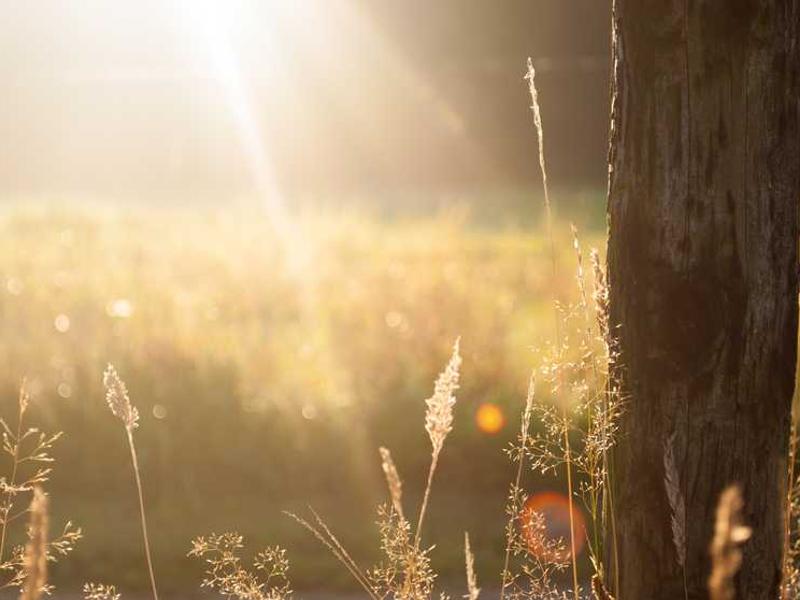Дуплекс с террасой